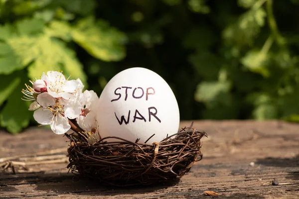 Stop War Written White Chicken Egg Lies Straw Basket Sun — Stock Photo, Image
