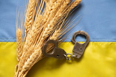 Kelepçe ve buğday Ukrayna 'nın bayrağında, 2022 Ukrayna hukuk ve adaletinde yatmaktadır.