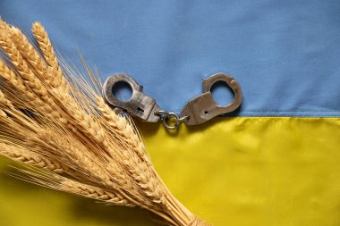 Kelepçe ve buğday Ukrayna 'nın bayrağında, 2022 Ukrayna hukuk ve adaletinde yatmaktadır.