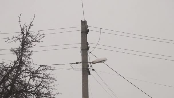 Electro Poste Cables Viento Con Nieve Durante Día Ucrania Ciudad — Vídeos de Stock