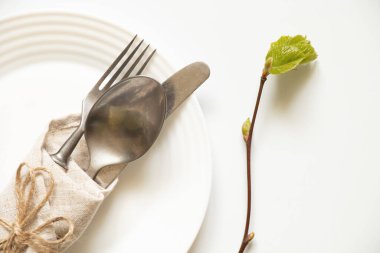 Bıçak, çatal ve kaşık beyaz arka planda beyaz bir tabakta uzanır, ve yanında yeşil yapraklı bir ağaç dalı, masa düzeneği, restoran işi bulunur.