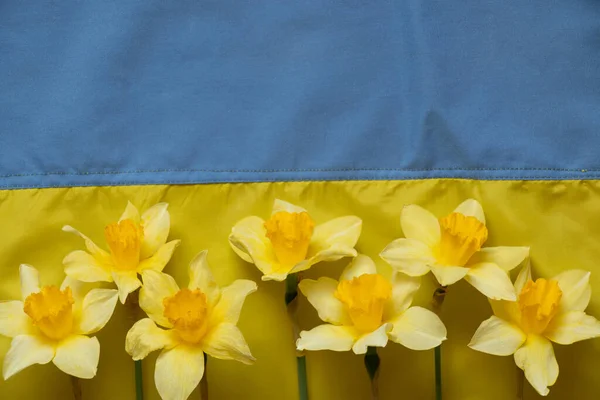 Прапор України Жовто Блакитні Жовті Квіти Нарцису Мир Україні Зупинка — стокове фото