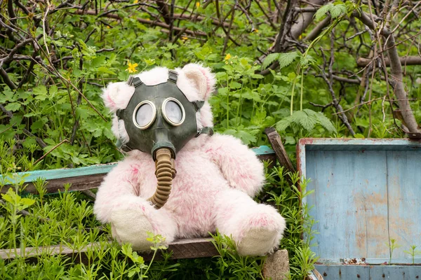 Een Teddybeer Met Een Gasmasker Ligt Grond Het Gras Gasaanval — Stockfoto