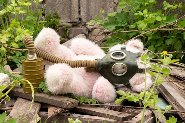 Nallebjörn Gasmask Ligger Marken Gräset Gasattack Krig Ukraina Kemisk Attack — Stockfoto