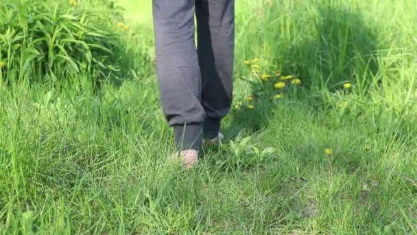 Girl Walks Grass Summer Sun Bare Feet Walk Ground Nature — Video Stock