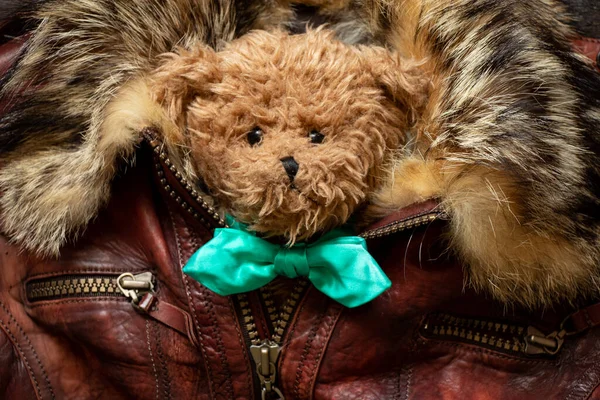 Ein Brauner Teddybär Mit Fliege Liegt Einer Pelzlederjacke Unter Verschluss — Stockfoto