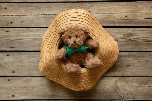 Ours Peluche Marron Est Assis Dans Chapeau Femme Paille Sur — Photo