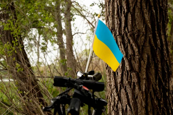 Drapeau National Ukraine Jaune Bleu Tient Sur Guidon Vélo Dans — Photo
