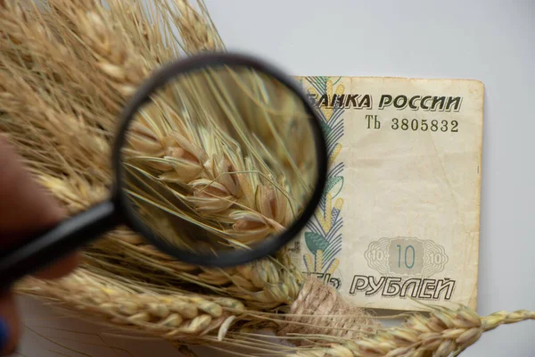 Ruble Banknote Ukrainian Wheat Close Magnifying Glass White Background Grain — ストック写真
