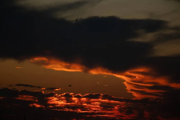 Sunset Sky Ukraine Red Sky Clouds — Stockfoto