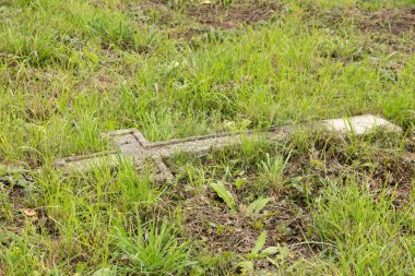 Ukrayna 'daki eski Polonyalı Yahudilerin mezarlığı. Terk edilmiş antik mezarlar. 18. ve 19. yüzyılların mezar heykeli, Ukrayna 'daki mezarlık.