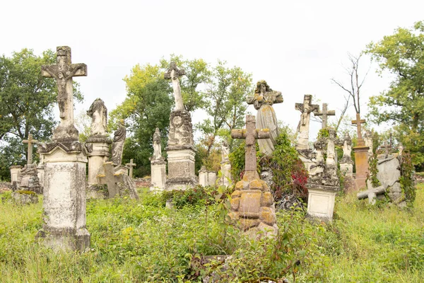 Old Cemetery Polish Jews Ukraine Ancient Abandoned Graves Cemetery Sculpture — Stock Photo, Image