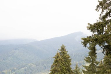 Karpatlar sonbaharda dağdan Karpatlar 'a, Ukrayna' daki Karpatlar 'ın üzerinde bulutlar görüyorlar.