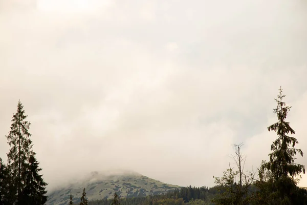 Cárpatos Vista Desde Montaña Las Cordilleras Los Cárpatos Otoño Nubes — Foto de Stock