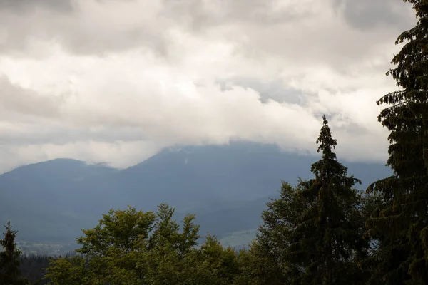 Cárpatos Vista Desde Montaña Las Cordilleras Los Cárpatos Otoño Nubes — Foto de Stock