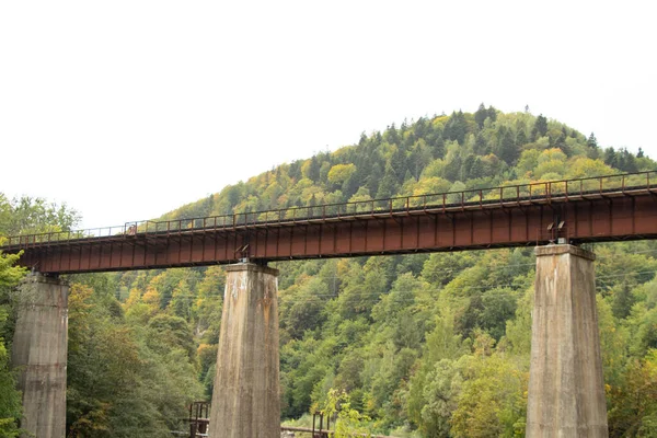 Ponte Ferroviária Sobre Rio Montanha Nos Cárpatos Ucrânia Uma Ponte — Fotografia de Stock