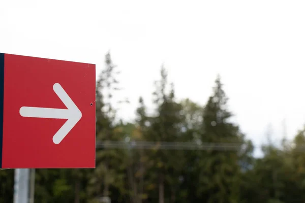Red arrow to the right against the background of a green forest in the park