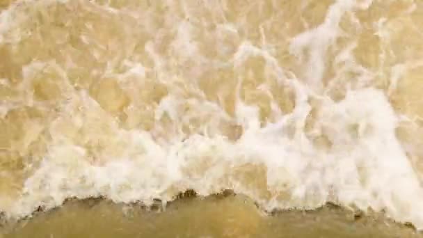 Karpaten Gebirgsfluss Mit Einer Schnellen Strömung Für Den Hintergrund Der — Stockvideo