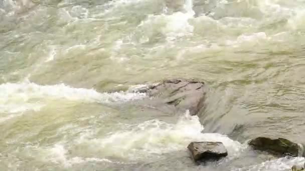 Cárpatos Rio Montanha Com Uma Corrente Rápida Para Fundo Ucrânia — Vídeo de Stock