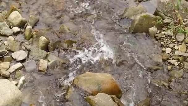 Karpaten Gebirgsfluss Mit Einer Schnellen Strömung Für Den Hintergrund Der — Stockvideo
