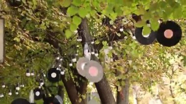 Vinil plaklar ve çelenk üzerindeki ampuller Ukrayna 'daki parklardaki bir ağaca asılı, meditasyon için bir video, rahatlatıcı bir video.