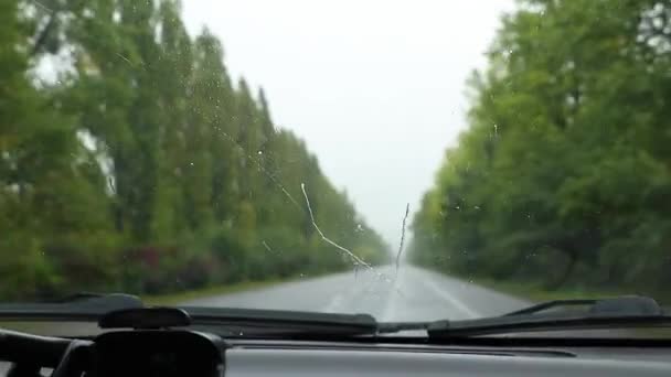 Szyba Samochodzie Przy Prędkości Deszczu Widok Przedziału Pasażerskiego Drodze Ruchu — Wideo stockowe