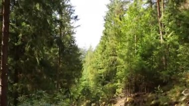 Bukovel 'deki Ukrayna' daki Karpatlar 'daki dağlardan geçen araba, dağlardaki açık bir araçtan görülüyor.