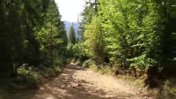 Auto Guida Attraverso Montagne Nei Carpazi Ucraina Bukovel Vista Una — Video Stock