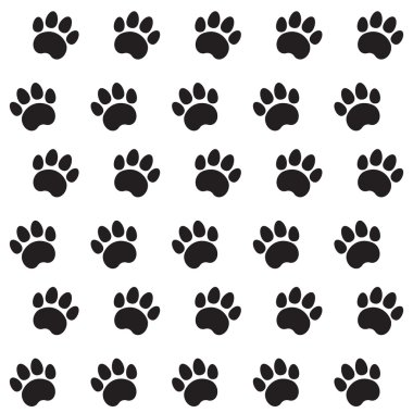 kedi Tekstil desen izleri