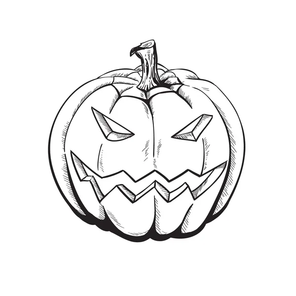 Sketch Pumpkin. — Stock Vector