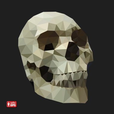 insan kafatası üçgen bir tarzda.