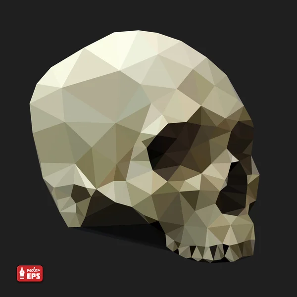 Människans kranium i trekantiga stil. — Stock vektor
