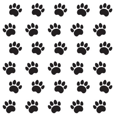 kedi Tekstil desen izleri