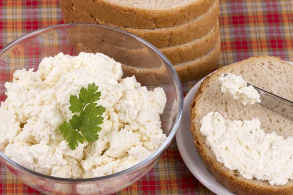 Cottage cheese. Curd — Stock Photo, Image