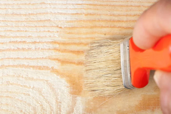 Mens Impregneert Houtvlekken Hout Rechtenvrije Stockfoto's