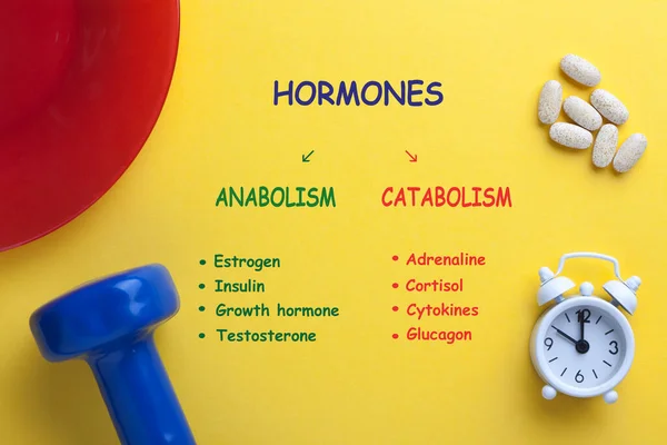 Hormonas Anabolismo Diagrama Catabolismo Con Mancuernas Reloj Vitaminas Placa Final — Foto de Stock