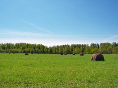 Rusya'daki kırsal manzara