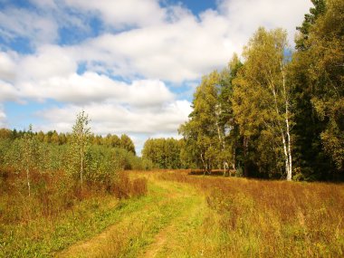 Yaz sonunda Rus doğa