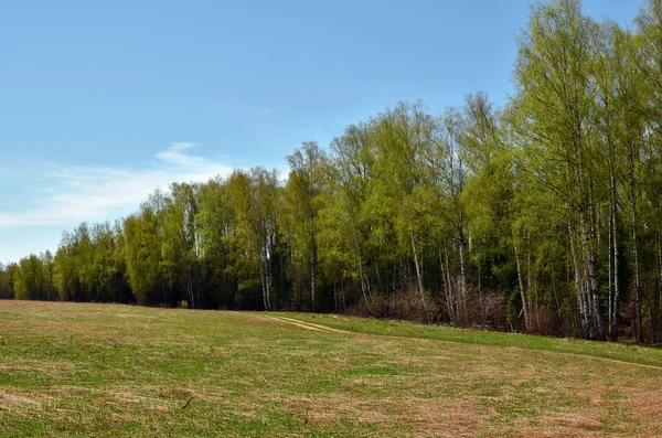 Frühlingslandschaft in Zentralrussland — Stockfoto