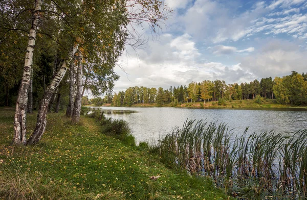 Flusslandschaft Stockfoto