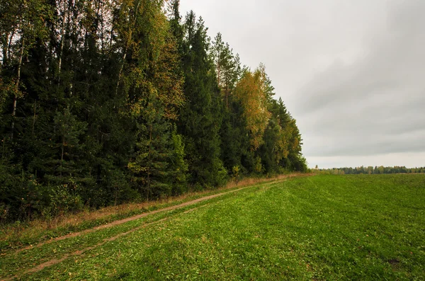 Autumn story — Stock Photo, Image