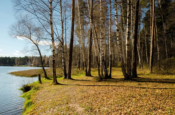 River Landscape — Stock Photo, Image