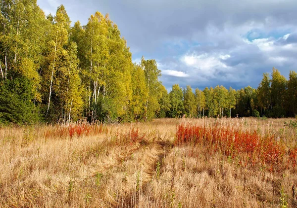 Autumn Landscape — Stock Photo, Image