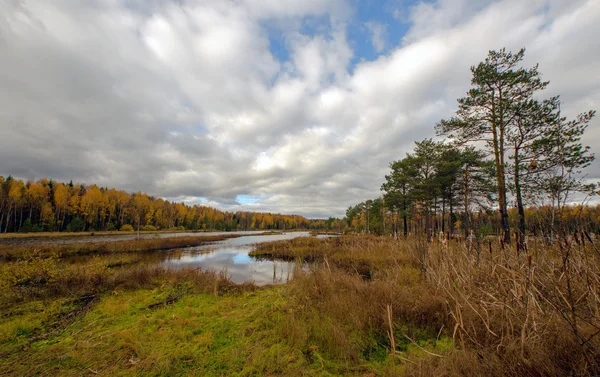 The autumn weather — Stock Photo, Image