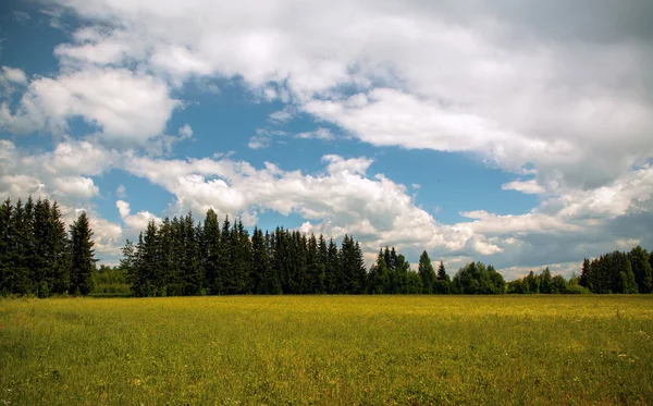 Sommer. Landschaft. Himmel. — Stockfoto