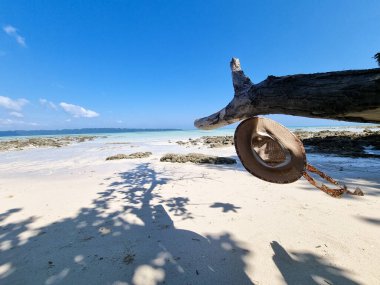 Hasır tatil şapkası sahildeki ağaçtan sarkan suyla birlikte havelock plajında ve Nicobar Adası Hindistan 'da