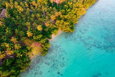 aerial drone shot panning up from beautiful blue green water filled with waves, rocks and sea weed to reveal green lush coconut trees and a sandy beach in havelock swaraj dweep andaman