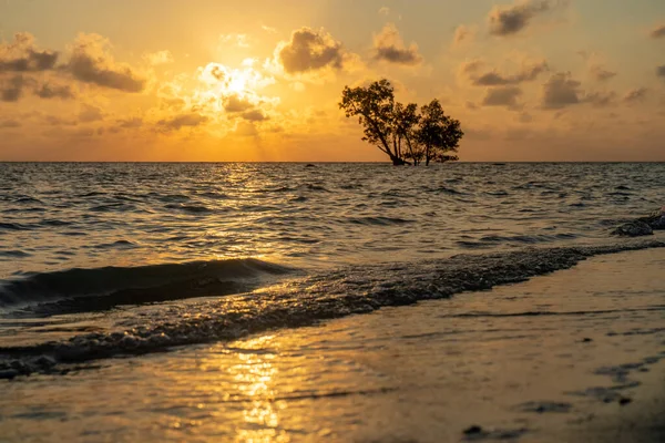 Baja Salida Del Sol Tiro Con Luz Los Colores Rojos — Foto de Stock