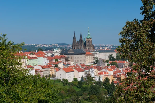 Praha panorama města s katedrálou svatého Víta — Stock fotografie