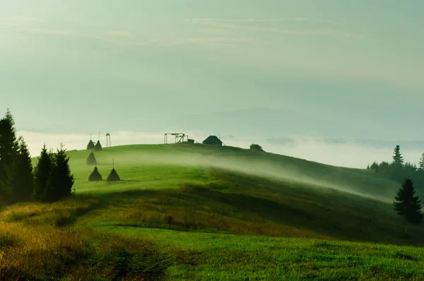 Sommar landskap med dimmiga bergen och grönt gräs. Royaltyfria Stockbilder